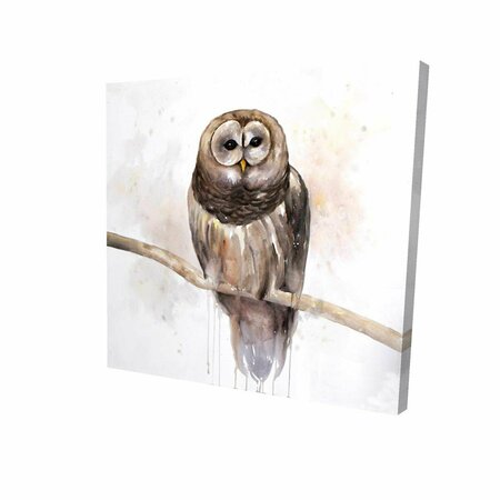 FONDO 16 x 16 in. Barred Owl-Print on Canvas FO2790775